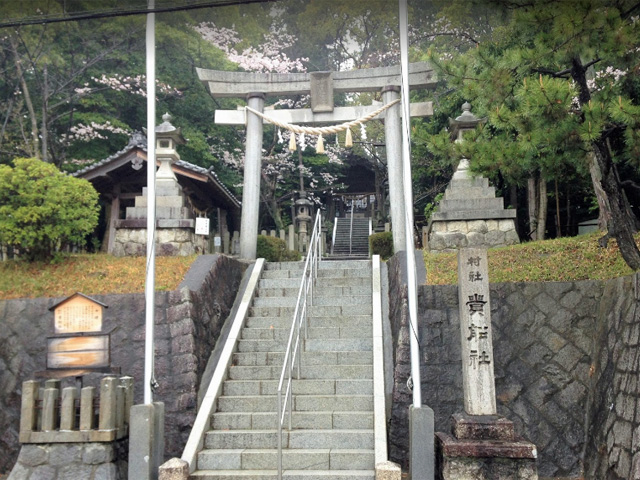 画像収集中