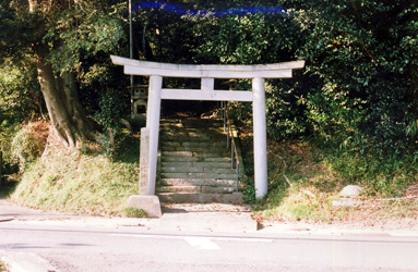 画像収集中