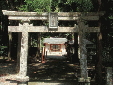 画像収集中