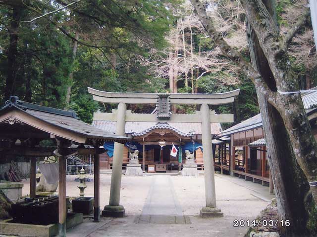 画像収集中