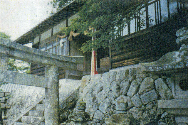 画像収集中
