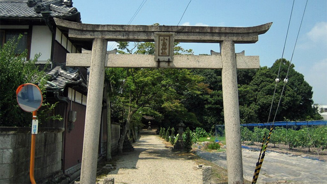 画像収集中