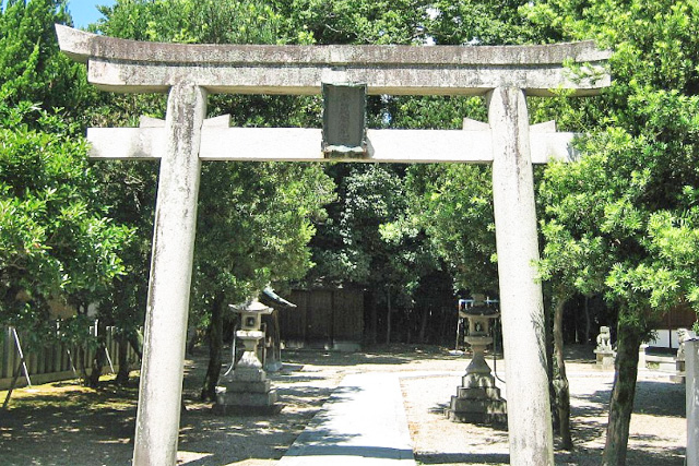画像収集中
