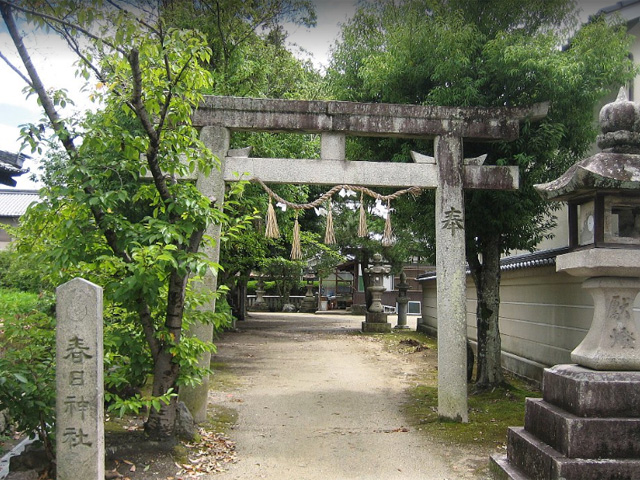 画像収集中