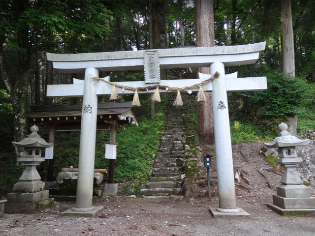 画像収集中