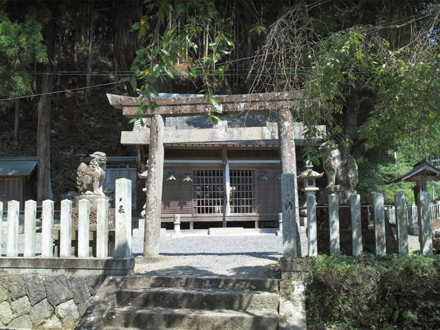 画像収集中