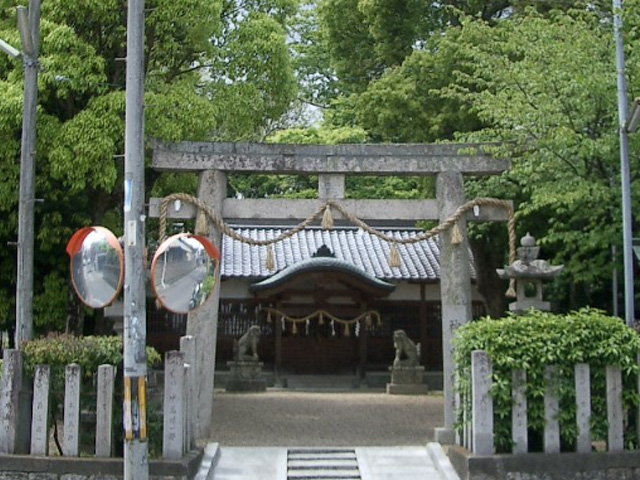 画像収集中