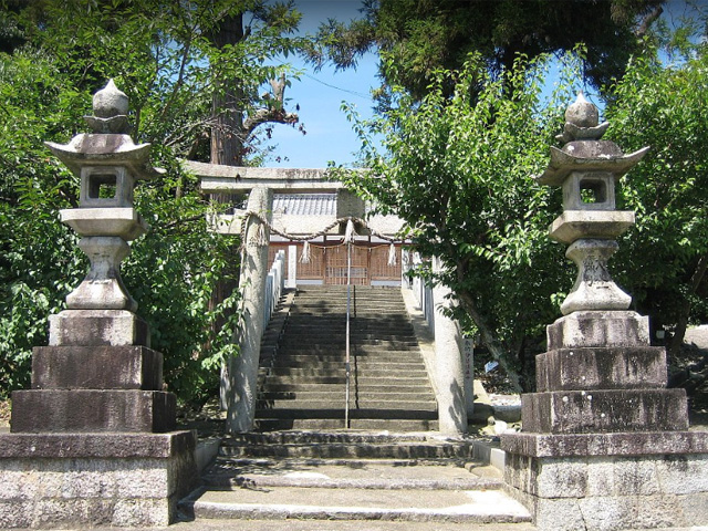 画像収集中