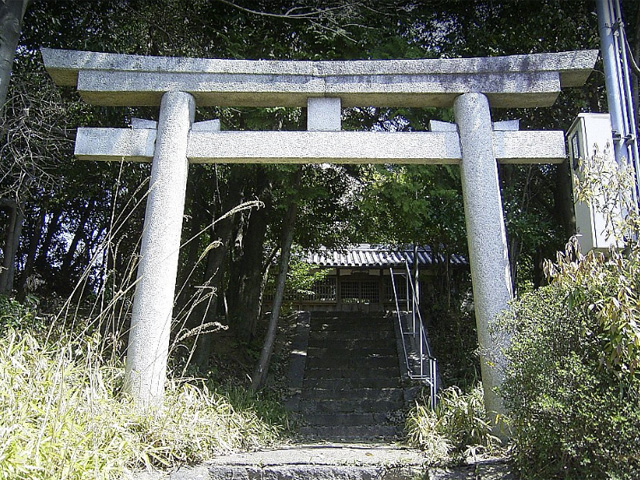 画像収集中