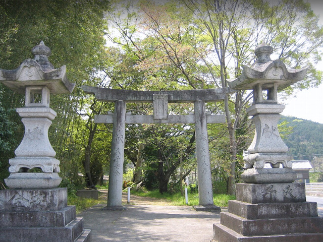 画像収集中
