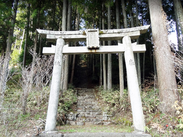 画像収集中