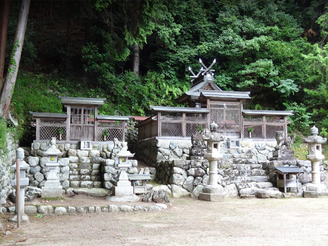 画像収集中