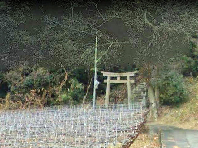 画像収集中