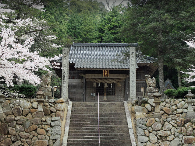 画像収集中